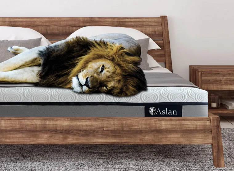 Aslan-mattress-feature
