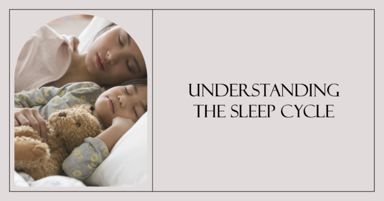 Understanding The Sleep Cycle